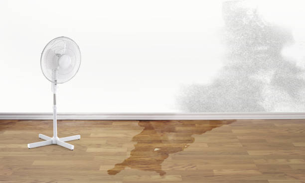 Best Commercial water damage restoration  in Napavine, WA