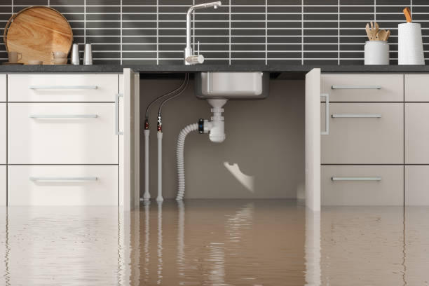 Best 24/7 water damage repair  in Napavine, WA